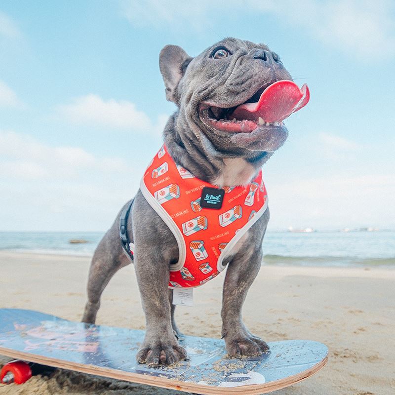 Discover the Ultimate Pet Chest Strap Dog Leash